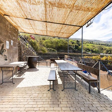 Ek Las Vistas Finca El Milagro La Orotava Zewnętrze zdjęcie