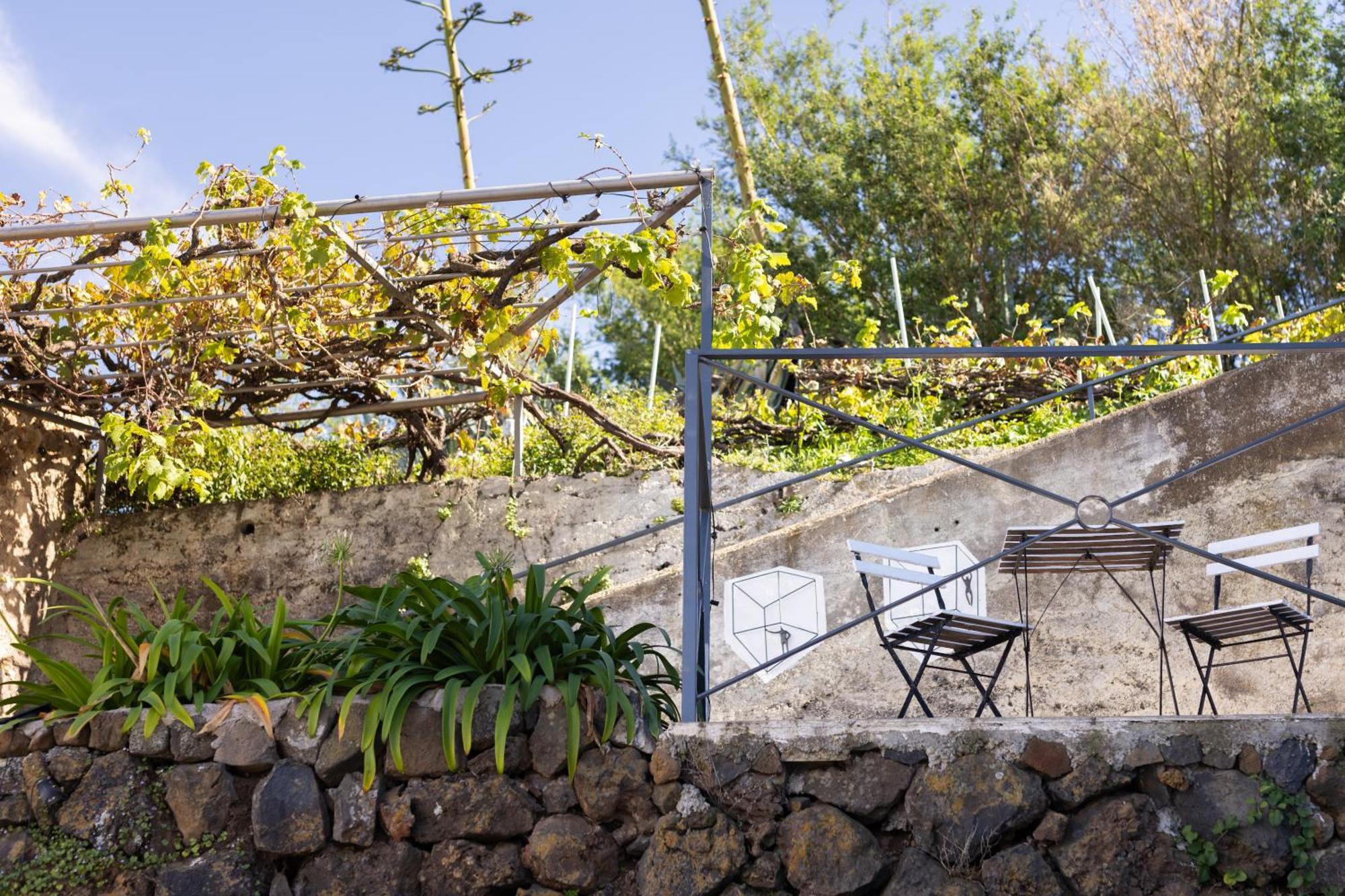 Ek Las Vistas Finca El Milagro La Orotava Zewnętrze zdjęcie
