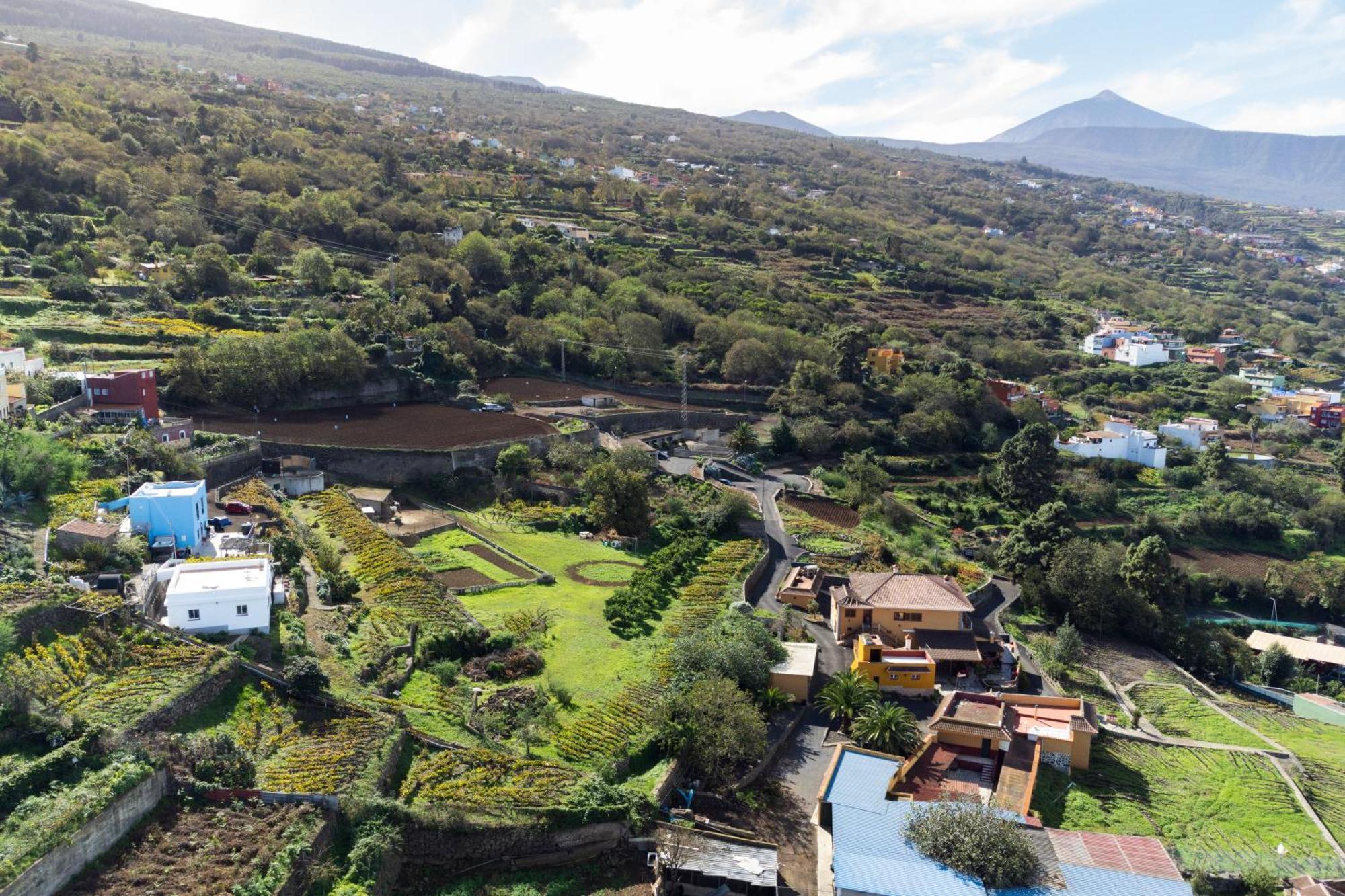 Ek Las Vistas Finca El Milagro La Orotava Zewnętrze zdjęcie