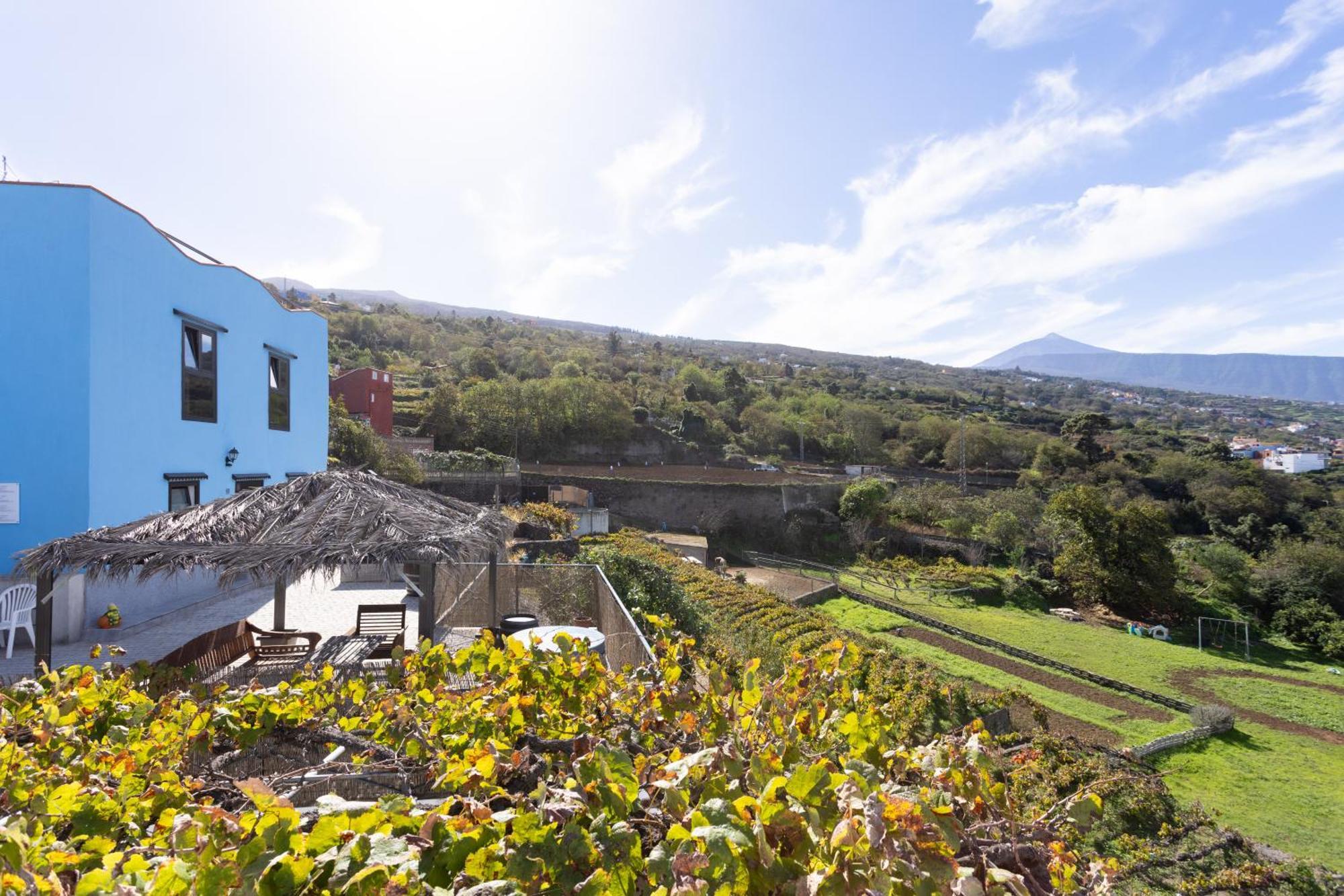 Ek Las Vistas Finca El Milagro La Orotava Zewnętrze zdjęcie