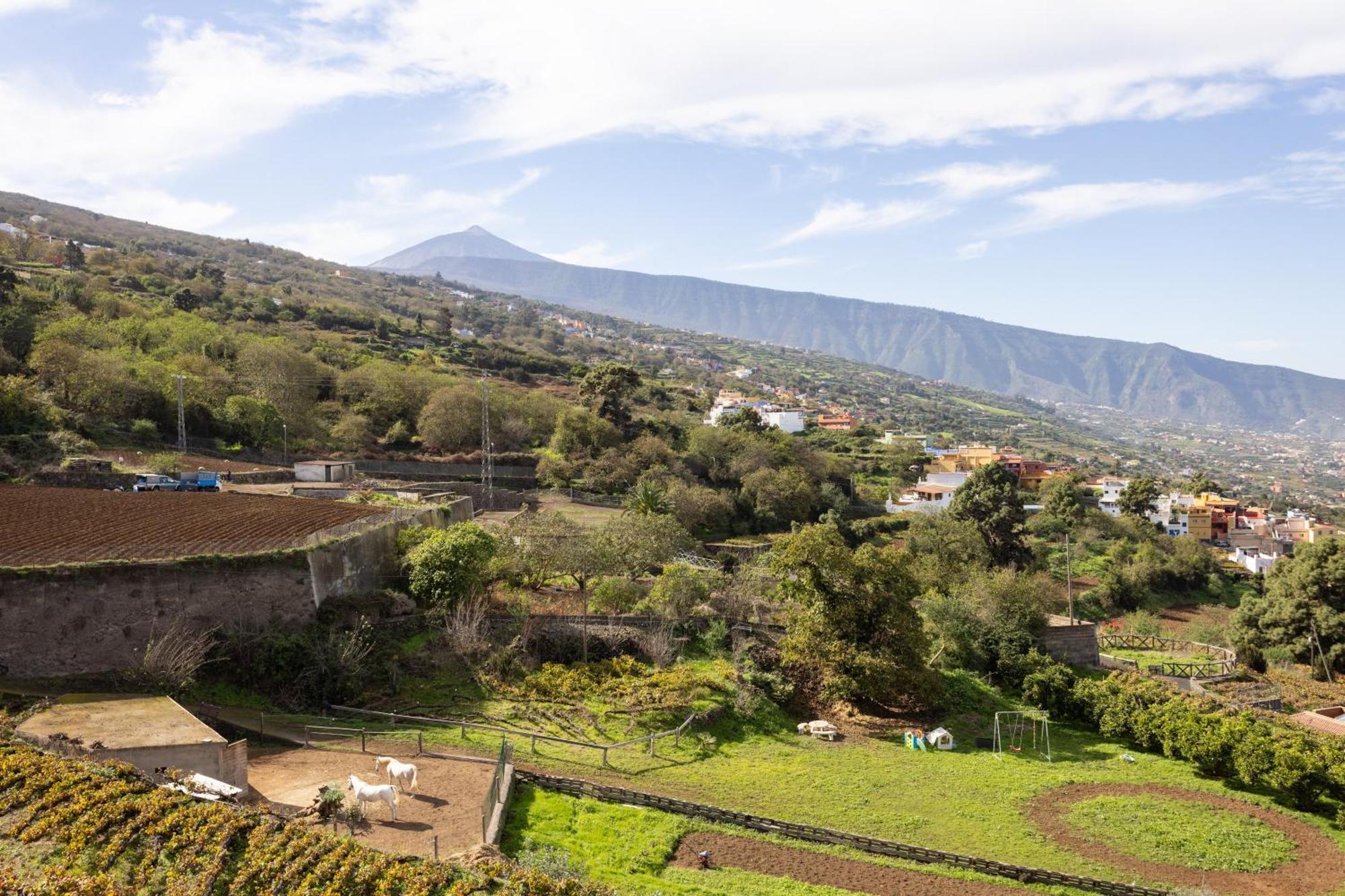 Ek Las Vistas Finca El Milagro La Orotava Zewnętrze zdjęcie