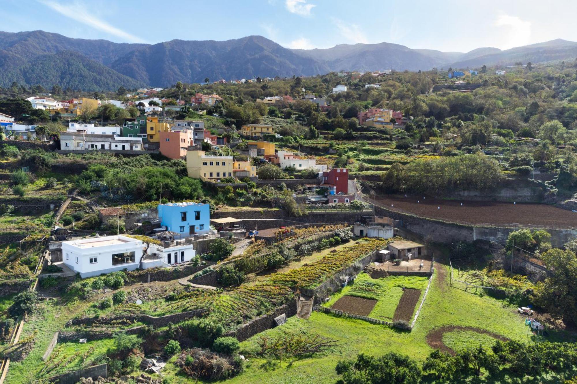 Ek Las Vistas Finca El Milagro La Orotava Zewnętrze zdjęcie