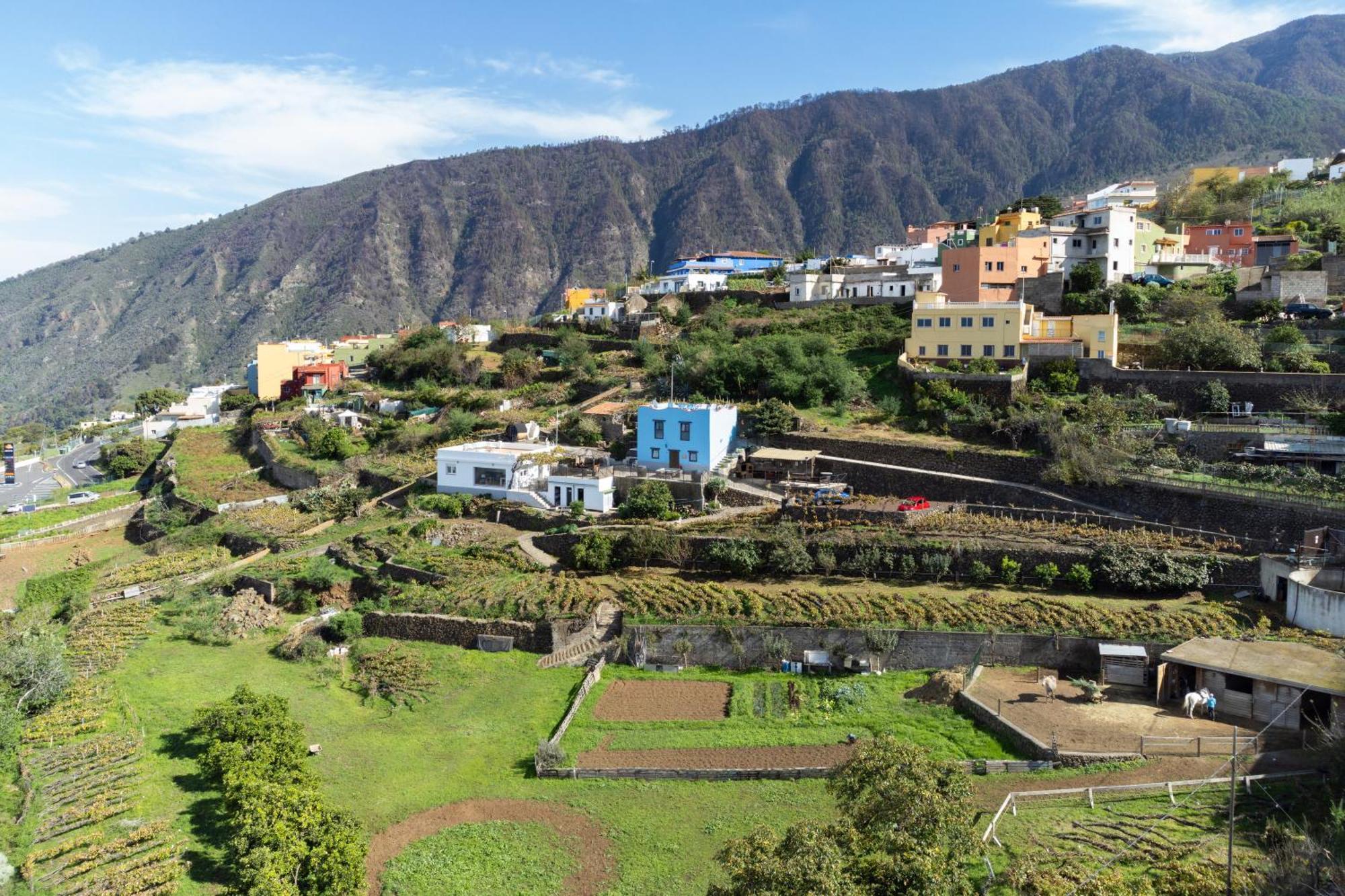 Ek Las Vistas Finca El Milagro La Orotava Zewnętrze zdjęcie