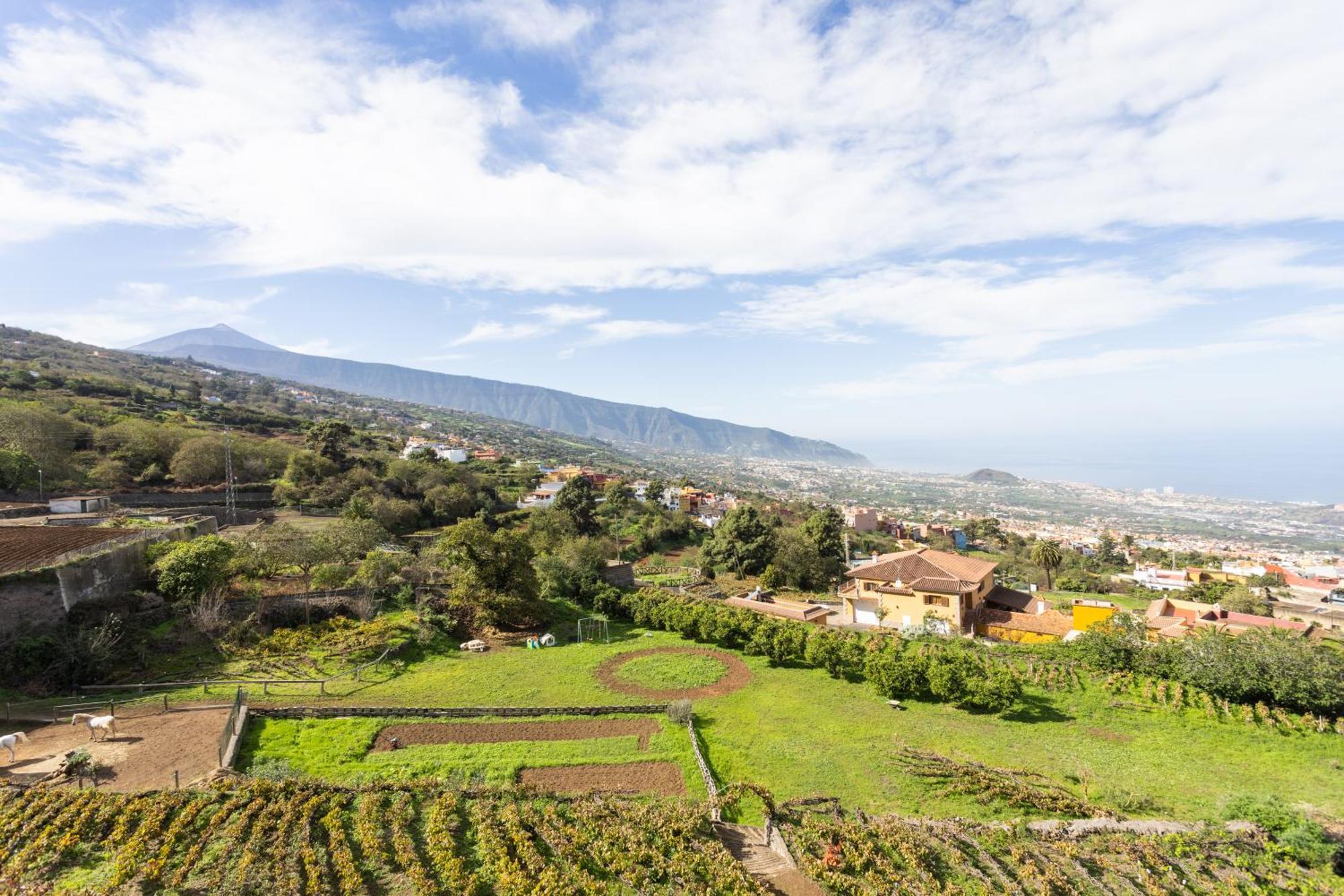 Ek Las Vistas Finca El Milagro La Orotava Zewnętrze zdjęcie